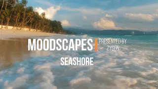Seashore: ZYGON Moodscape Meditation: 4k (Zap Stress) - Mindfulness Meditation in Tropical Paradise.