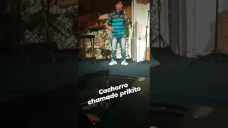 cachorro chamado prikito #comedia #standupcomedy