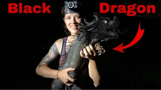 RARE BLACK DRAGON IGUANA CAPTURED!!I