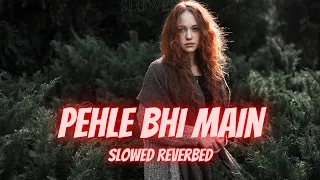 Vishal Mishra | Pehle Bhi Main | Slowed Reverbed | Animal | Slowestic