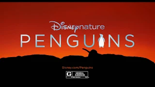 Penguins 2019