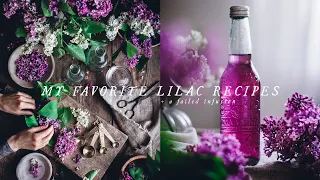 My Favorite Lilac Recipes - Lilac sugar & Lilac Syrup (+ a failed infusion)