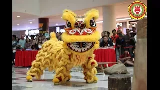 [Giải Lân Địa Bửu Sc Vivo City 2018] Sa Long Cương [lion dance championship Sc vivocity]