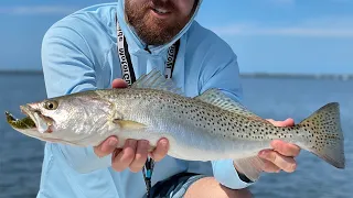 Tampa Bay fishing report: July 2, 2021