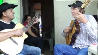 HENRIQUE VIOLEIRO E FAZENDEIRO-O PULO DO GATO