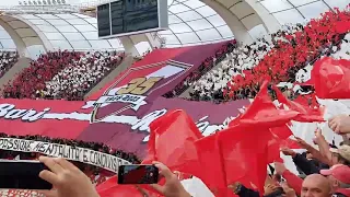 BARI REGGINA Coreografia 🇵🇪 PASSIONE, MENTALITÀ E CONDIVISIONE 🤍❤️ 🎥 CURVA NORD CAM 13/05/2023