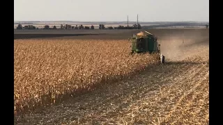 Уборка кукурузы - подвожу итоги