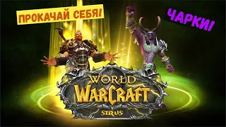 Чарки Wow Sirus | ❗️ ГАЙД ❗️ |⚔️ МДД ⚔️ | Wotlk 3.3.5a