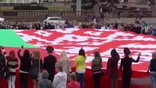 The national flag of the Republic of Belarus. Guinness World Record