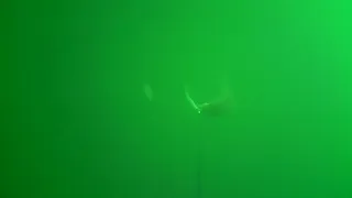 Underwater California Halibut Livebait Strike - Missed 2 Chances to hook up