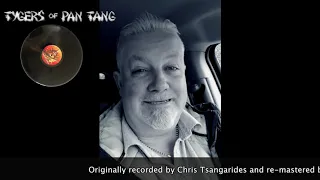 TYGERS OF PAN TANG - Ambush 2020 (promotional video)