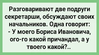 Секретарши Обсуждают Причандалы Начальников! Сборник Свежих Смешных Жизненных Анекдотов!