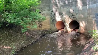 Раменское, городской парк, озеро Борисоглебское