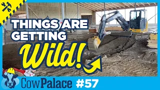 Building a Barn is CHAOS! | Building Our Cow Palace - Ep57