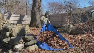 Stop raking leaves? The tricks to easier leaf clean-up