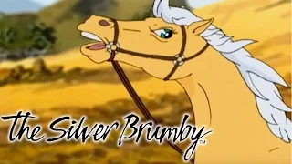 The Silver Brumby - The Sight of Golden (HD - Full Episode)