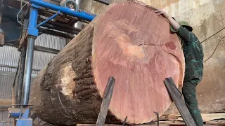 The Most Modern Wood Processing Factory - Extremely Powerful Sawing Machine Operating Skills