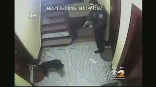 Cop Shoots Dog