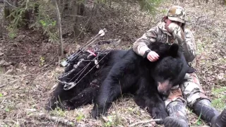 Huge Black Bear-Archery Hunt in Saskatchewan