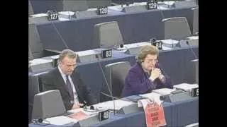 European Parliament 2013 (solidary?)