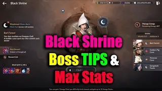 Black Desert Mobile Black Shrine Boss TIPS & Max Stats