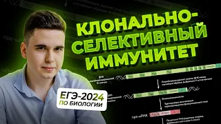 КЛОНАЛЬНО-СЕЛЕКТИВНАЯ ТЕОРИЯ ИММУНИТЕТА // ЕГЭ-2024 ПО БИОЛОГИИ