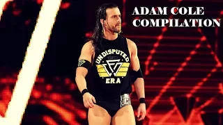 [WWE] Adam Cole-Superkick & Enziguri/Shining Wizard Compilation