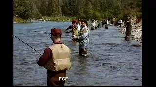 Fly Fishing for Red Salmon on the Russian  River and Kenai River, Alaska