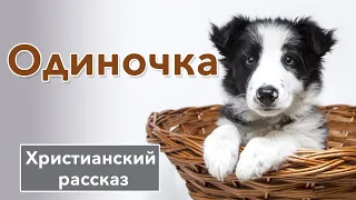 🖤 Одиночка - ИНТЕРЕСНЫЙ ХРИСТИАНСКИЙ РАССКАЗ | Христианские рассказы