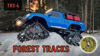 Tracks In The Forest - Traxxas TRX 4 Sport Traxx