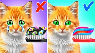 Pomni Saved This Kitten 🤡 *Cool Cat Adventures at Digital Circus*