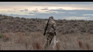 Colorado Coyote Crackdown | S1:E9