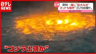 何が？ 突如…海に巨大な炎「ゴジラ出現か」ネットも騒然　メキシコ（2021年7月5日放送「news every.」）