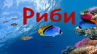 Риби. Будова риб.