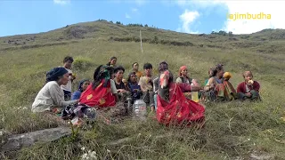 the task for the cattle || Nepal🇳🇵|| lajimbudha || village life || himalayan people ||