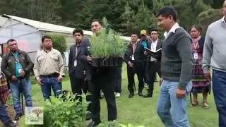 2023 Reforestation Campaign in Totonicapán, Guatemala