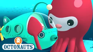 Octonauts - The Elusive Giant Squid | Full Episode 6 | Cartoons for Kids | Underwater Sea Education