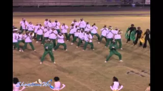 (RM) Washington Marion High 2 of 2 Fieldshow - 2005 WM BOTB