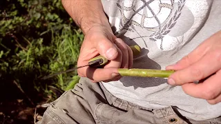 How to whittle, carve a whistle in wood in under a minute! Speed whittling :-)