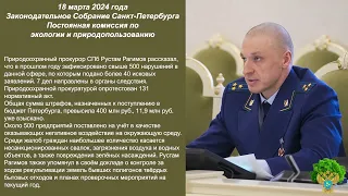 Теневая экология Санкт-Петербурга в 2023 году. Цифры от Природоохранной прокуратуры.