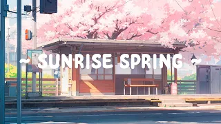Cherry Blossom in Morning 🌸 Healing with Me 🌱 Lofi Hip Hop ~ Lofi Music for [ Sleep - Relax ]