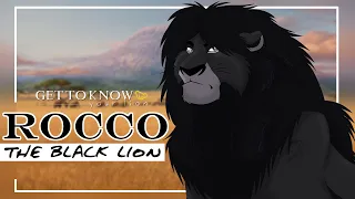 ROCCO: The Black Lion | GET TO KNOW YOUR LION