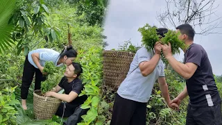 The girl and the boy went to pick vegetables to sell at the market