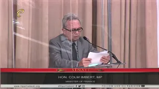 Minister Imbert's contribution to the debate on a Private Motion on Debt Servicing