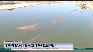 Кіші Арал теңізі тартылып барады