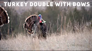 Husband and Wife Turkey Double With Bows | Bowmar Bowhunting