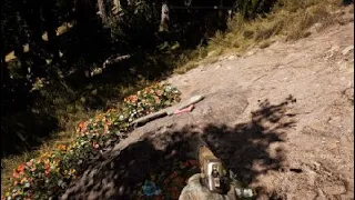 A Secret Grave + Money Stash -  Far Cry 5 (Secret Money Location)