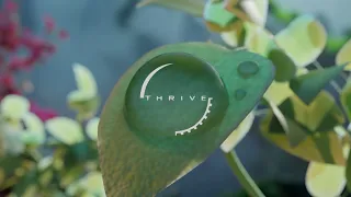 Thrive 0.6.1 Release Trailer