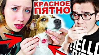 Красное Пятно У ДЖИНЫ И КРОВЬ ИЗ ШЕИ |Elli Di Pets| Реакция на Элли Ди Петс Джина