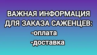 ВАЖНАЯ ИНФОРМАЦИЯ! Прием заказов на саженцы с 28 февраля 2024 г